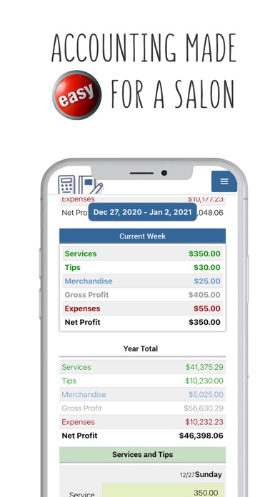 Salon Accounting Screenshot