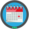 Calendario programador Pro - siarhei yatsuk