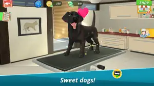 Pet World: My Animal Hospital screenshot 7
