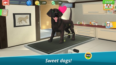 Pet World: My Animal Hospital Screenshot