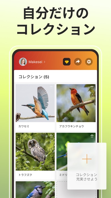 Picture Bird - 撮ったら、判る--1秒鳥図鑑のおすすめ画像6