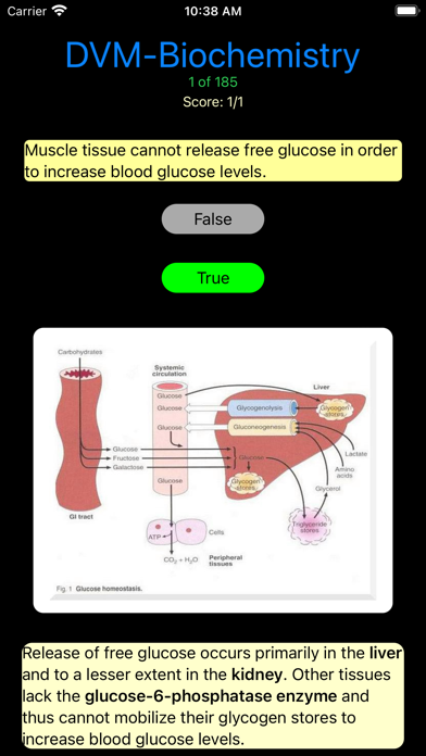 DVM 1st Year Biochemistry Screenshot