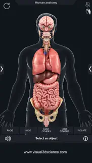 organs anatomy iphone resimleri 3
