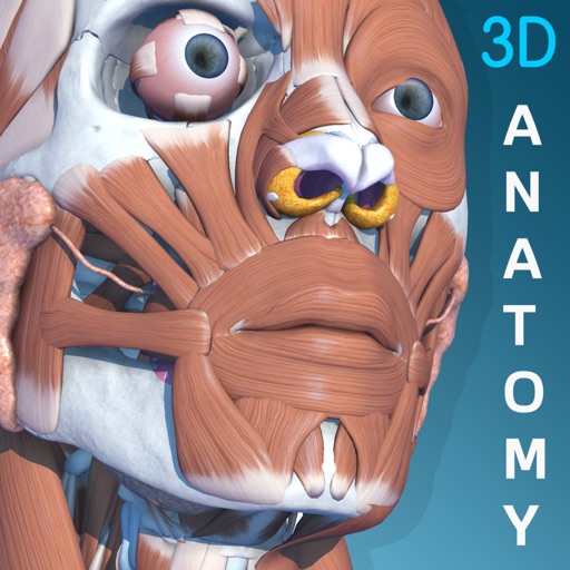 Visual Anatomy 3D - Human iOS App