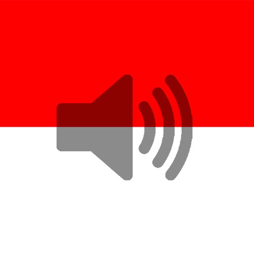 Indonesian Phrasebook (Travel) icon