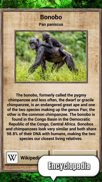 Animal Kingdom - Quiz Game screenshot-4