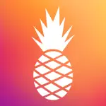 Hawaiian Bros App Cancel