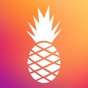 Hawaiian Bros app download