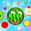 Watermelon Fruit Merge Game App Delete