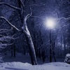 Peaceful Snowfall - iPhoneアプリ