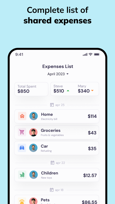 Couples Budget Tracker—Balance Screenshot