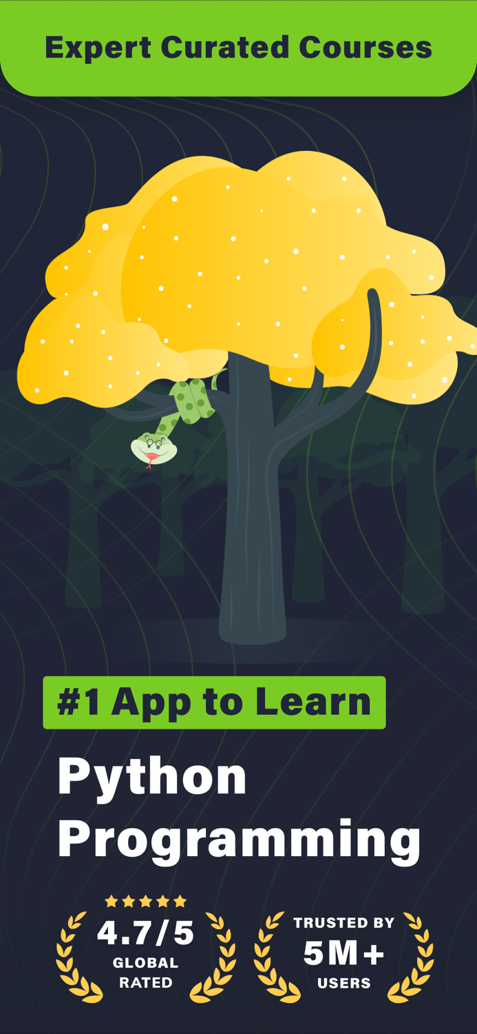 Learn Python Coding Python X