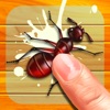 Bugs Smasher - Protect houses icon