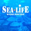 Sea Life worldwide icon