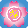 Sakura3D SCAN - Armonicos Co., Ltd.