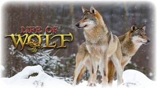 Life Of Wolf - Wild Life Simのおすすめ画像1