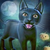 Virtual Scary Cat Simulator 3D icon