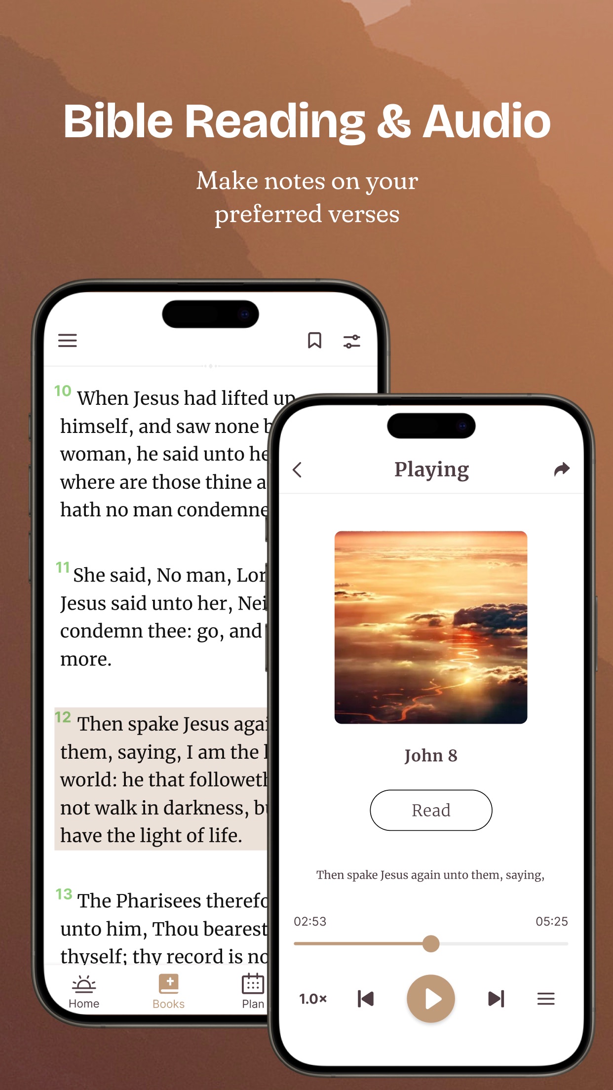 Bible Offline - KJV Holy Bible screenshot 4