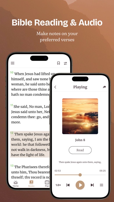 Bible Offline-KJV Holy Bible Screenshot