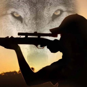 屏幕截图 (5) 3D Wild Hunting Call 2