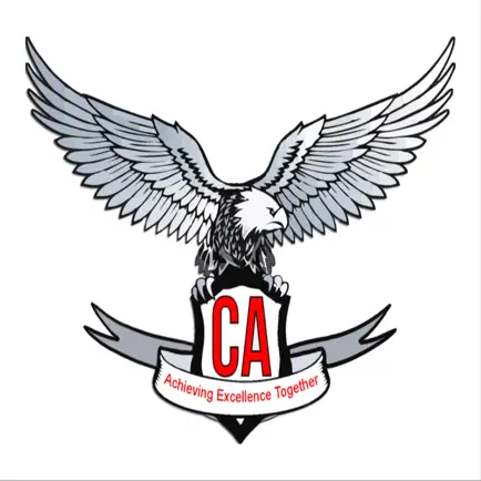 CA Test Series Читы