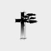 ODBC Missoula icon