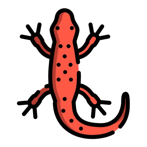 Salamander Stickers icon