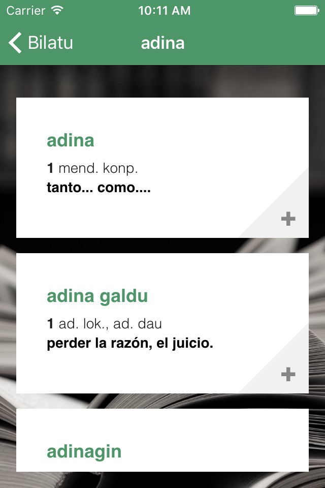 Labayru Hiztegia screenshot 3