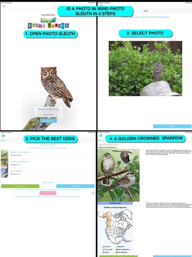 Екранна снимка на iBird Ultimate Guide to Birds