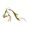 Horse Auctions USA