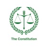 The 1999 Constitution icon