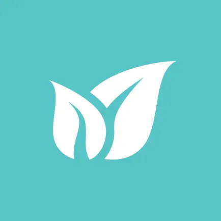 FRESH BODY FIT MIND Cheats