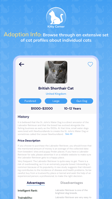 Screenshot #1 pour KittyCorner: Facts & Info