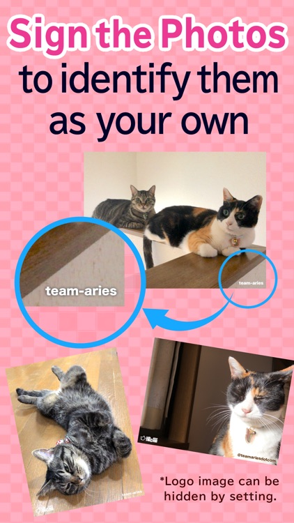 toruneko (KittyCam) screenshot-6