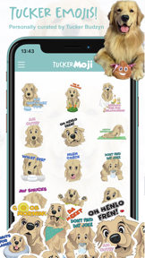 TuckerMoji - Tucker Budzyn Dog screenshot