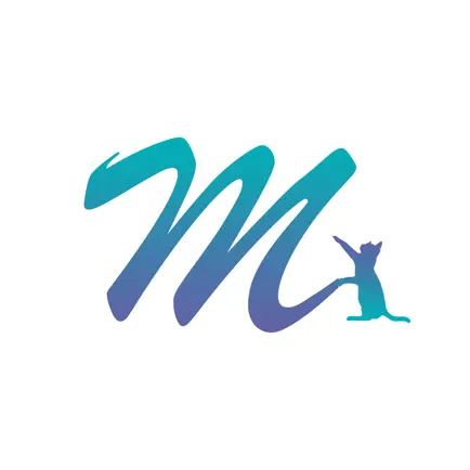 Memorizem Flashcard Cheats