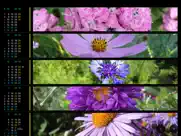 only for women - calendar w ipad resimleri 4
