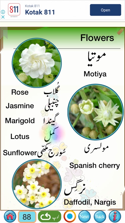 Urdu Qaida Part 2 screenshot-8