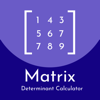 Matrix Determinant Calculator - Kantaben Gorasiya