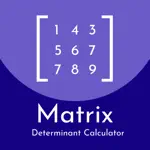 Matrix Determinant Calculator App Problems