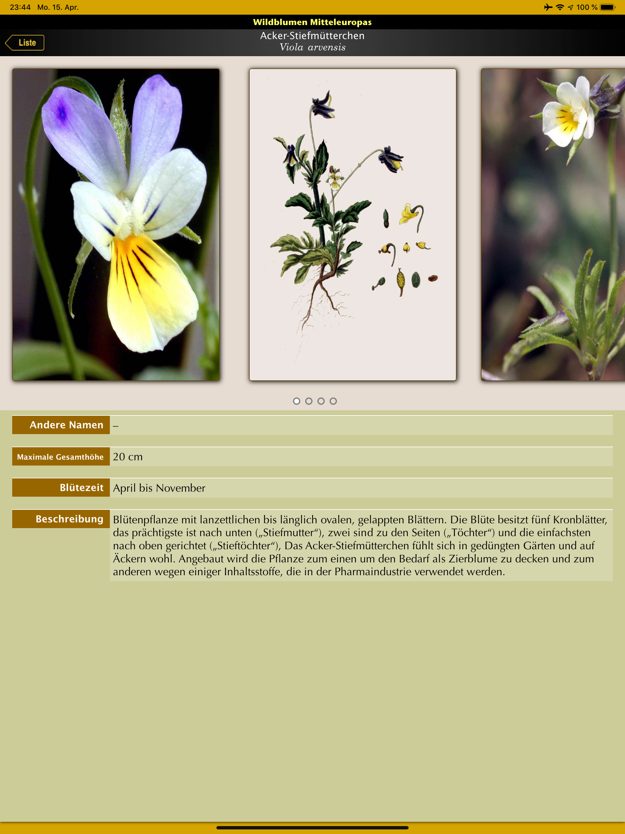 Wildblumen Mitteleuropas screenshot 8