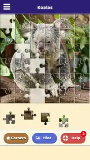 koala love puzzle iphone screenshot 4