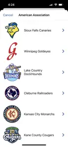 AA Baseball screenshot #3 for iPhone