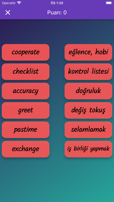 Lucky 10. Sınıf İngilizce Screenshot