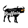 Summer Buffalo icon