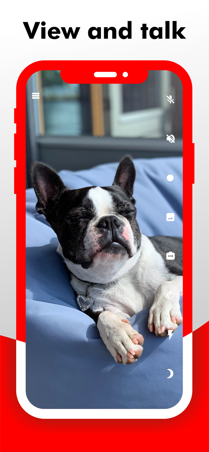 Camy — Live Video Monitoring screenshot 5
