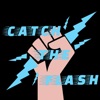 Catch The Flash icon