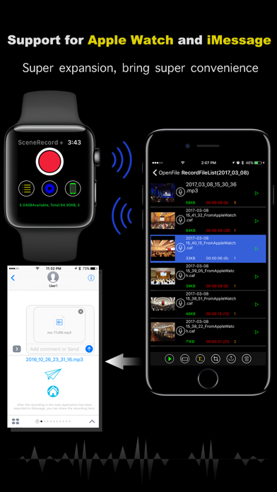 SceneRecord + Screenshot