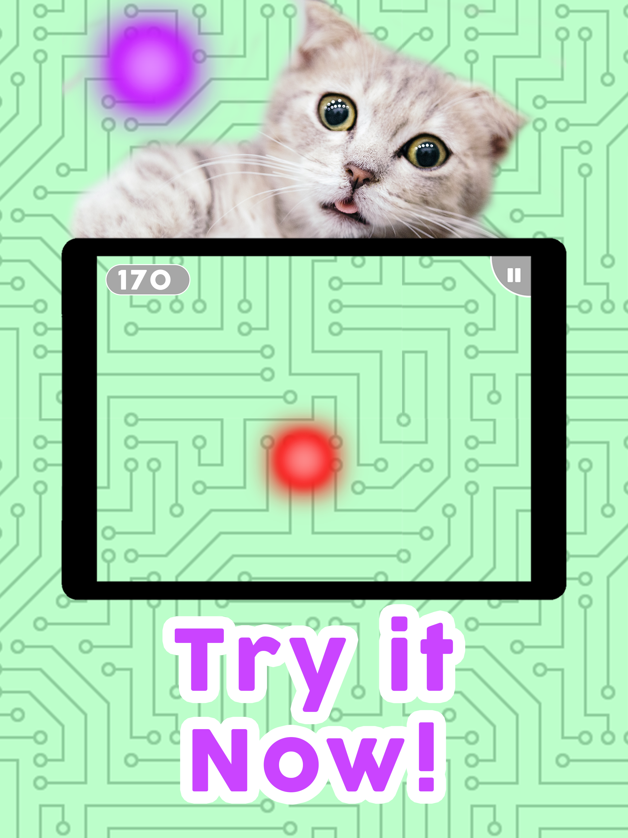 Games for Cats! screenshot 9