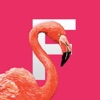 Flamingo Tropical Stickers icon
